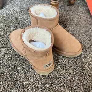 UGG women short Chestnut Boots